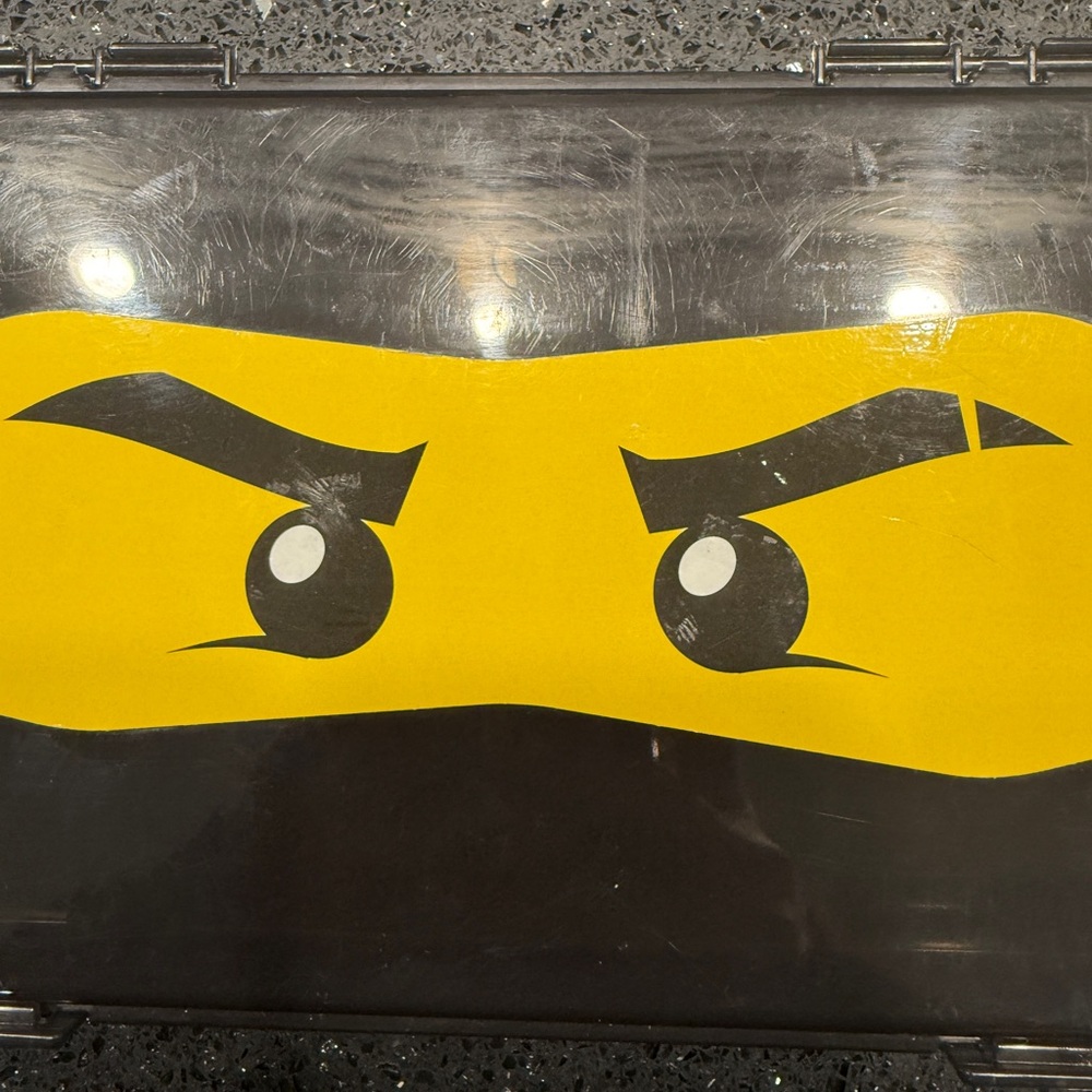 Lego Ninjago divided storage case